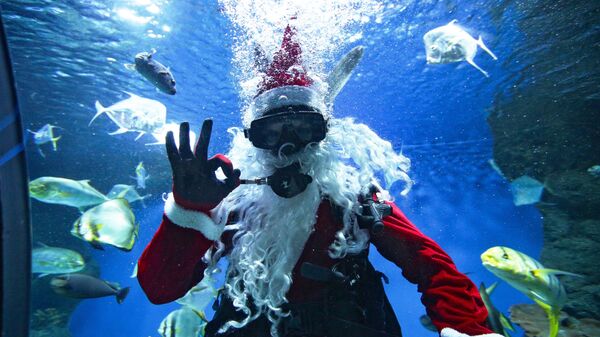Дайвер в костюме Деда Мороза в новосибирском океанариуме - Sputnik Moldova-România