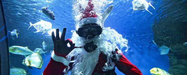 Дайвер в костюме Деда Мороза в новосибирском океанариуме - Sputnik Moldova-România