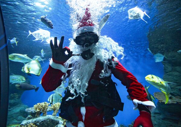 Дайвер в костюме Деда Мороза в новосибирском океанариуме - Sputnik Moldova-România