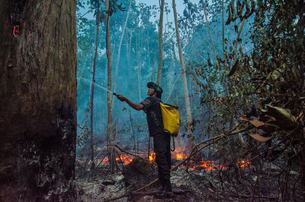 Тушение лесных пожаров в Бразилии - Sputnik Moldova-România