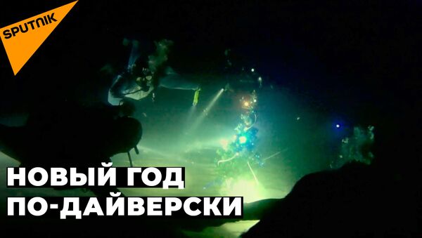 Крымские дайверы установили елку на дне Черного моря. Как они умудрились подключить гирлянду? - Sputnik Молдова