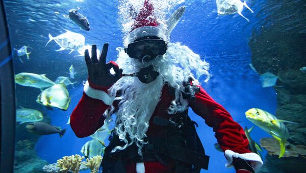 Дайвер в костюме Деда Мороза в новосибирском океанариуме - Sputnik Moldova