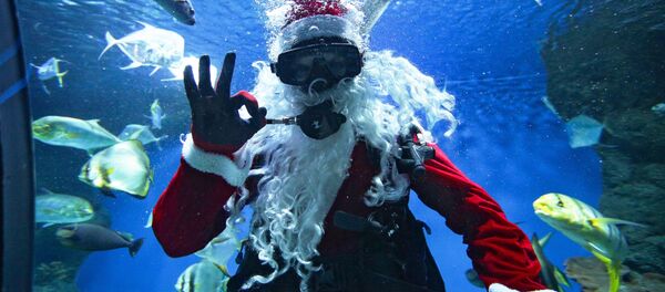 Дайвер в костюме Деда Мороза в новосибирском океанариуме Дайвер в костюме Деда Мороза в новосибирском океанариуме - Sputnik Moldova