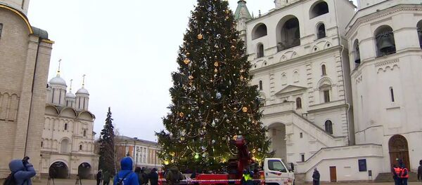 Главная ель России: на Соборной площади Московского Кремля установили символ Нового года - Sputnik Молдова