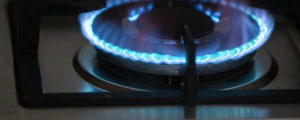 Plită cu gaz - Sputnik Moldova