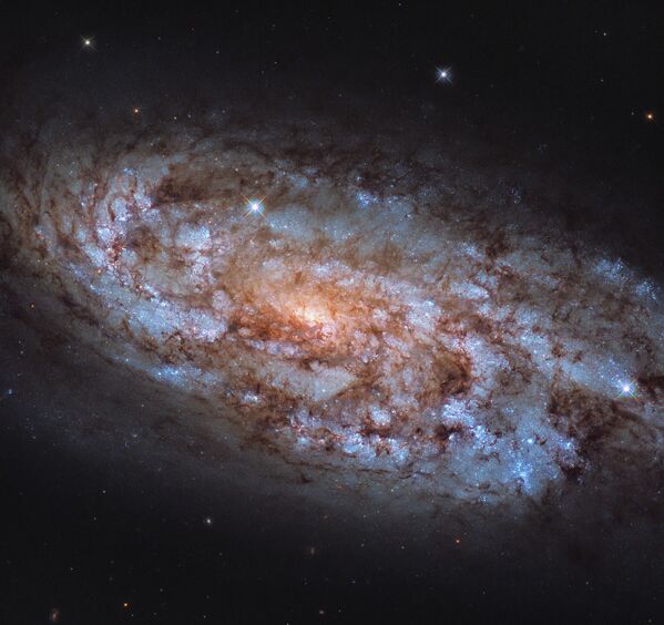Галактика NGC 1792 в созвездии Голубь - Sputnik Молдова