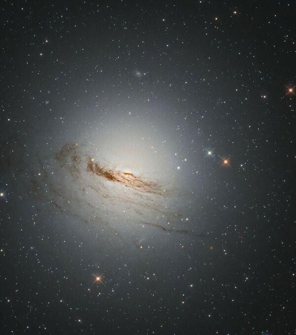 Линзовидная галактика NGC 1947 в созвездии Золотая Рыба - Sputnik Молдова