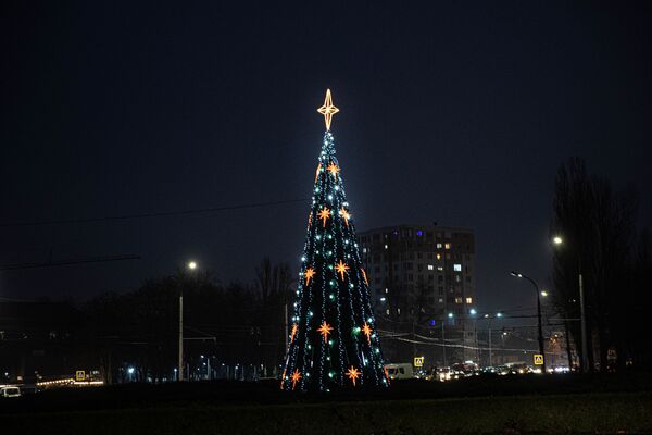 У этой елки, пожалуй, самая длинная макушка. - Sputnik Молдова