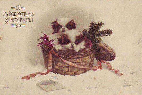 Старые рождественские открытки. - Sputnik Молдова