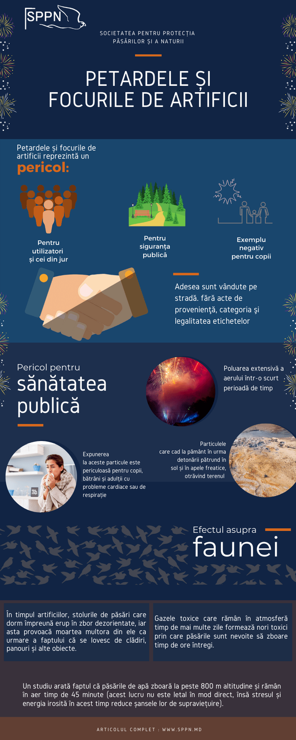 Focul de artificii – splendoare pentru unii și calvar pentru alții Focul de artificii – splendoare pentru unii și calvar pentru alții - Sputnik Moldova