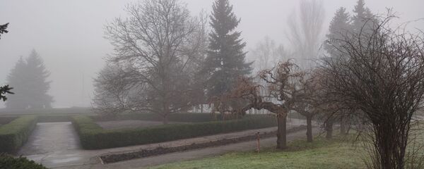 Туман в Кишиневе, 2 января 2021 - Sputnik Молдова