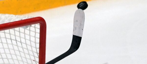 Хоккейная клюшка и шайба - Sputnik Молдова