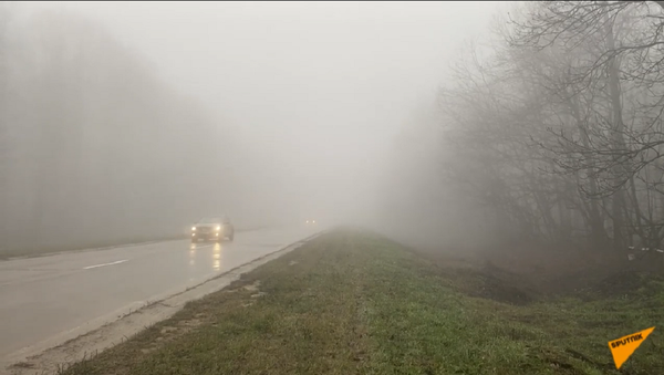 Ceață densă pe drumuri - pericol major de accident - Sputnik Moldova