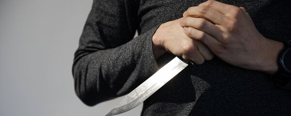 Cuțit  - Sputnik Moldova