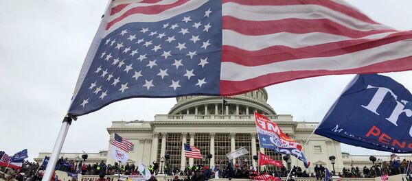 Proteste la Washington, SUA - Sputnik Moldova-România