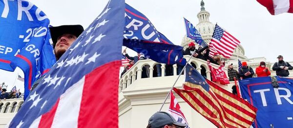 Участники акции протеста сторонников действующего президента США Дональда Трампа у здания конгресса в Вашингтоне  - Sputnik Молдова