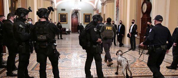 Усиление полицейских сил у дверей Сената очевидно после того, как сторонники президента Дональда Трампа нарушили безопасность Капитолия США Усиление полицейских сил у дверей Сената очевидно после того, как сторонники президента Дональда Трампа нарушили безопасность Капитолия США - Sputnik Молдова