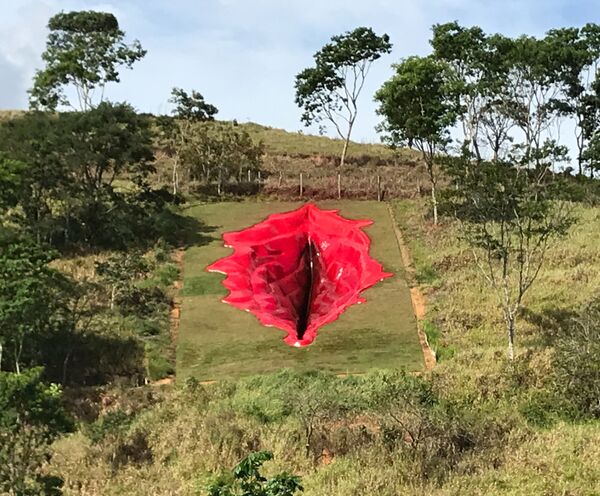 Гигантское произведение искусства Дива, напоминающее вульву длиной 33 метра, шириной 16 метров и глубиной 6 метров, в музее под открытым небом Usina de Arte в бразильском штате Пернамбуку - Sputnik Молдова