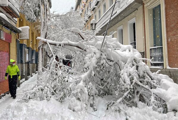 Urmările ninsorilor puternice din Madrid - Sputnik Moldova-România