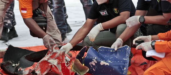 Следователи осматривают обломки, обнаруженные в водах у острова Ява после крушения пассажирского самолета Sriwijaya Air - Sputnik Moldova