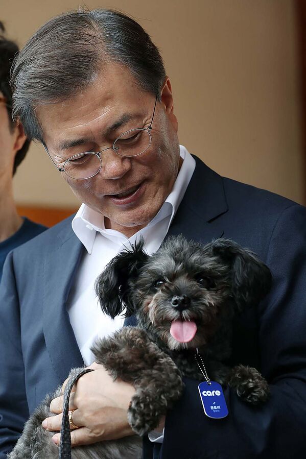 Президент Республики Корея Мун Чжэ Ин со своей собакой Тори в Сеуле - Sputnik Moldova-România