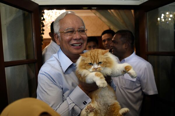 Премьер-министр Малайзии Наджиб Разак позирует со своей кошкой Кики в своей резиденции в Куала-Лумпуре - Sputnik Moldova-România