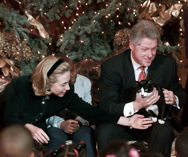 Президент Билл Клинтон и его жена с кошкой Сокс в Белом доме, 1996 год - Sputnik Moldova-România