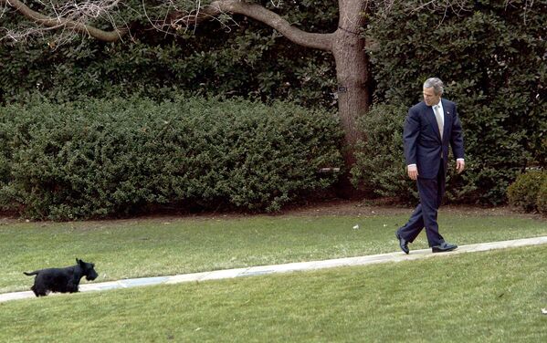 Президент США Джордж Буш со своей собакой Барни в Белом доме, 2003 год - Sputnik Moldova