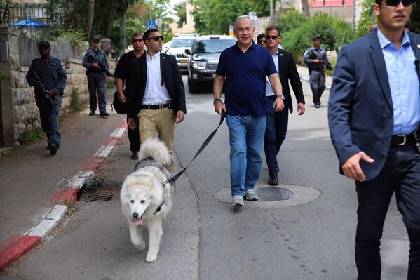 Премьер-министр Израиля Биньямин Нетаньяху со своей собакой по кличке Кайя - Sputnik Moldova-România