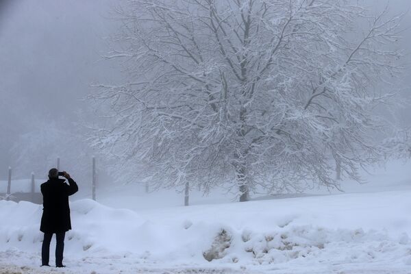 Мужчина фотографирует покрытое снегом дерево на Корсике  - Sputnik Молдова