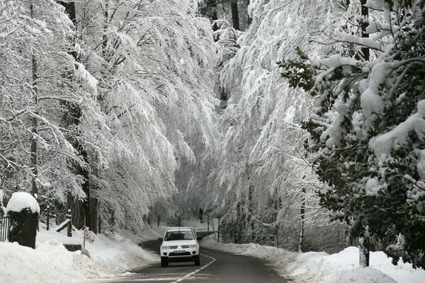 Автомобиль проезжает под покрытыми снегом деревьями на Корсике  - Sputnik Молдова