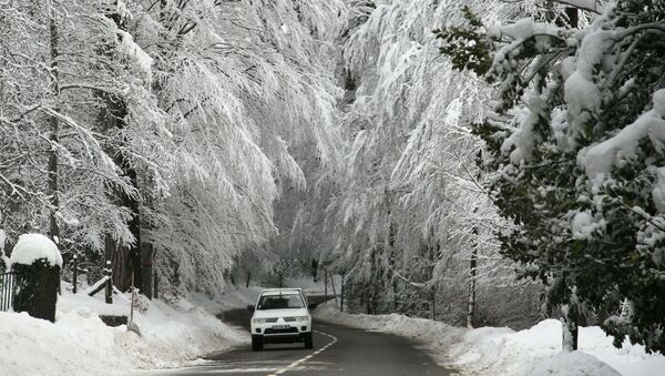 Автомобиль проезжает под покрытыми снегом деревьями на Корсике  - Sputnik Молдова