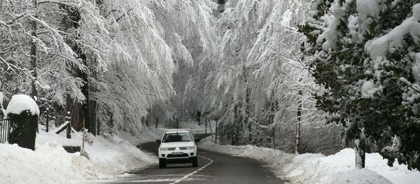 Автомобиль проезжает под покрытыми снегом деревьями на Корсике  - Sputnik Moldova