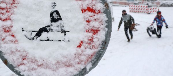Люди на санках во время снегопада в Цюрихе Люди на санках во время снегопада в Цюрихе - Sputnik Молдова