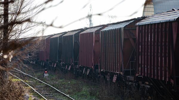 Грузовые вагоны на молдавской железной дороге - Sputnik Молдова