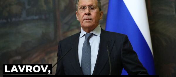 Lavrov a comparat  SUA cu un elefant în magazinul de porțelanuri  - Sputnik Moldova