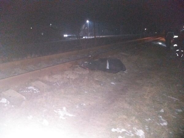 Un bărbat a fost ucis pe calea ferată: Unde s-a întâmplat nenorocirea  - Sputnik Moldova