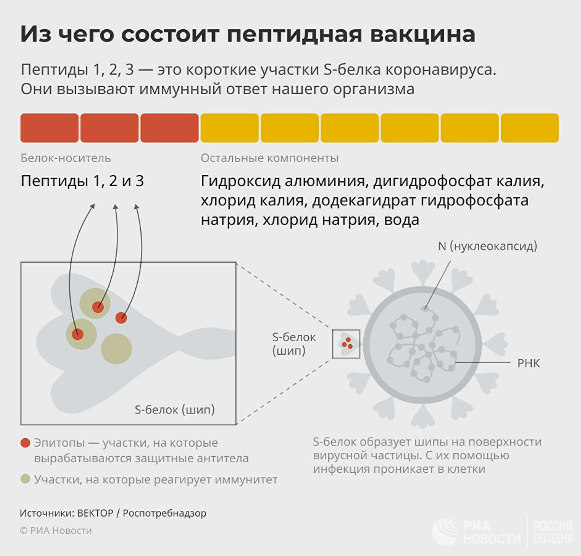 Эксперты сравнили российские вакцины от COVID-19 - Sputnik Молдова, 1920, 20.02.2021