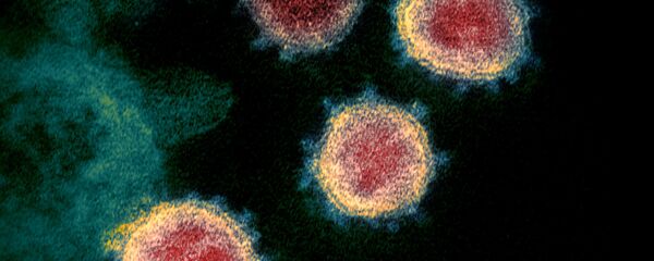 Coronavirus SARS-CoV-2 (photo d'archives) - Sputnik Moldova-România