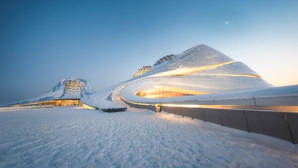 Снимок Snake Under the Moonlight китайского фотографа Jinjing Lyu, ставший финалистом конкурса The Art of Building 2020 - Sputnik Moldova-România