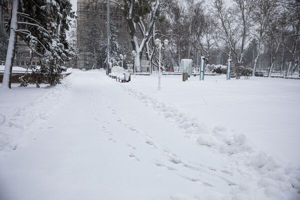 Кишинев замело долгожданным снегом... - Sputnik Молдова