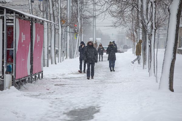 Серые оттенки в пейзажах припорошил белый снег - Sputnik Молдова