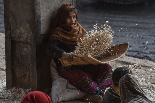 Девочка чистит чеснок на рынке в Лахоре, Пакистан  - Sputnik Молдова
