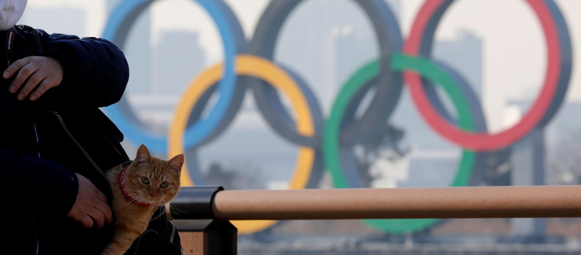 Мужчина с котом в сумке на фоне олимпийских колец в Токио - Sputnik Молдова, 1920, 19.02.2021