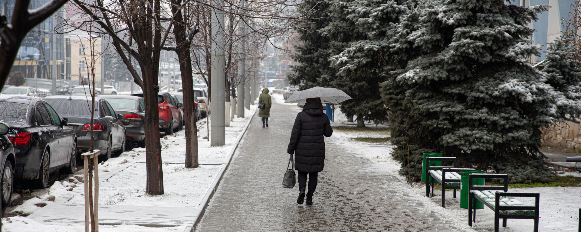 Дождь зимой - Sputnik Молдова, 1920, 08.02.2021