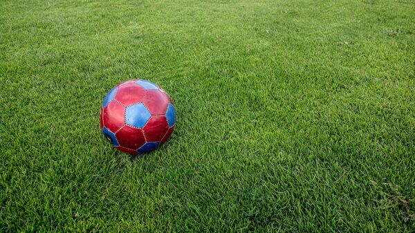 Футбольный мяч на поле - Sputnik Молдова