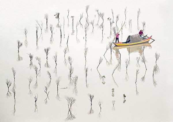 Снимок Fishermen of The Mangroves австралийского фотографа Les Sharp, победивший в категории Fine Art среди профессионалов конкурса Tokyo International Foto Awards 2020 - Sputnik Молдова