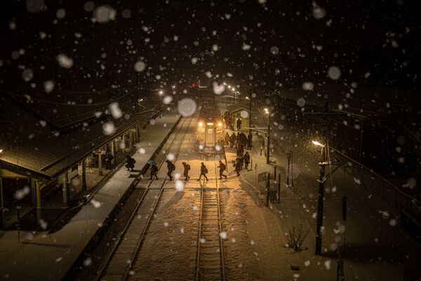 Снимок The Last Winter фотографа Yukihito Ono, победивший в номинации National Awards (Япония) конкурса 2021 Sony World Photography Awards  - Sputnik Молдова