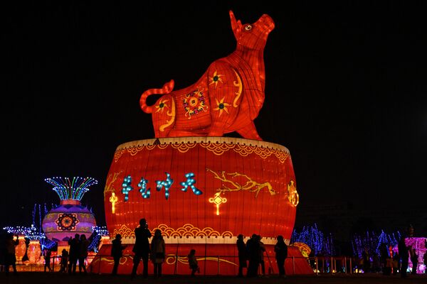 Гигантский фонарь в виде быка в парке Уханя, Китай - Sputnik Молдова