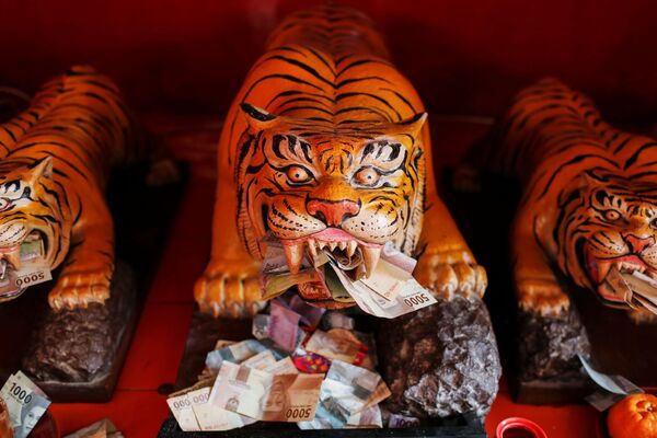 Банкноты у скульптур тигров в храме Дхарма Бхакти во время празднования Нового года по лунному календарю в Джакарте, Индонезия - Sputnik Молдова